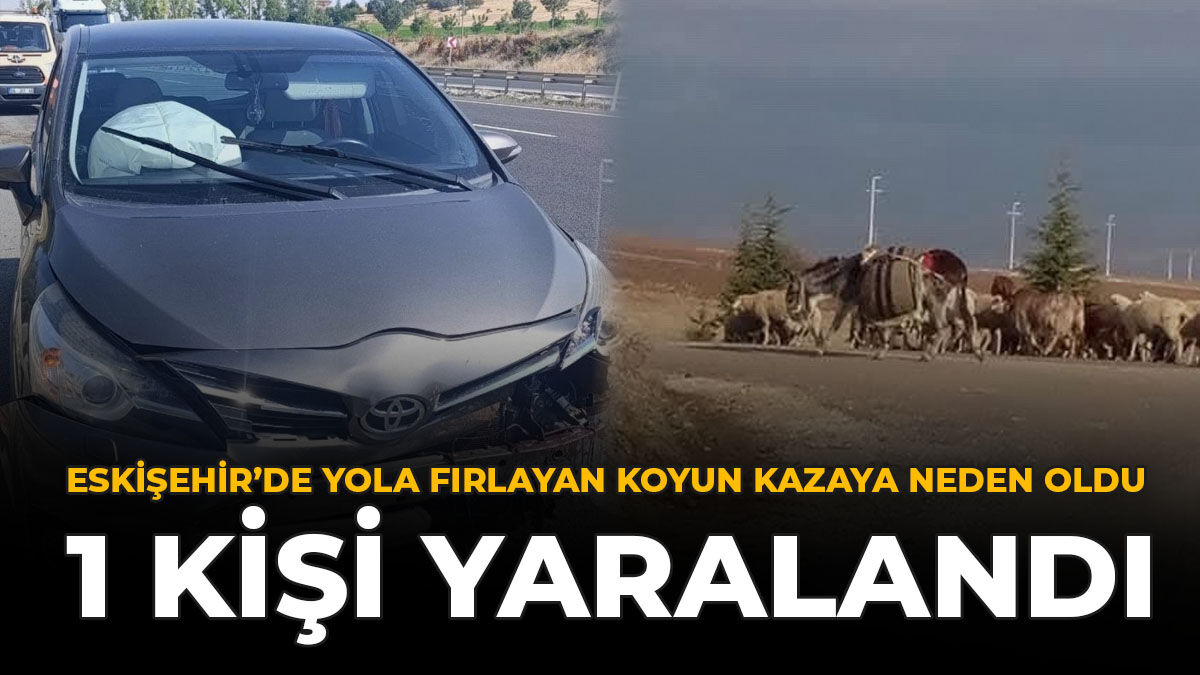 Eskişehir'de Yola Fırlayan Koyun Kazaya Neden Oldu: 1 Kişi Yaralandı