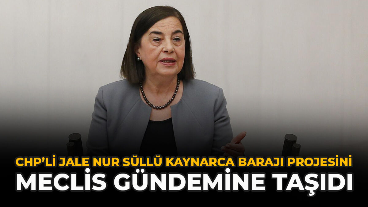 CHP’li Jale Nur Süllü, Kaynarca Barajı Projesini Meclis Gündemine Taşıdı